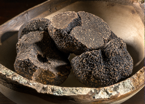 La truffe d'hiver, parfum incomparable à déguster aux Maisons du Clair de la Plume à Grignan en Provence