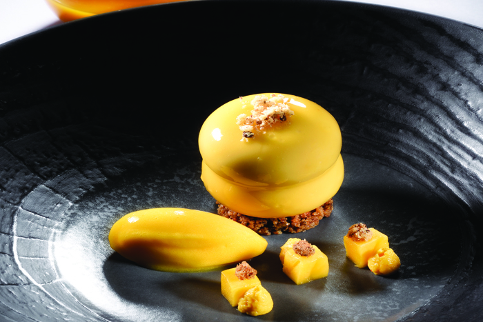 partner-mangue-revol