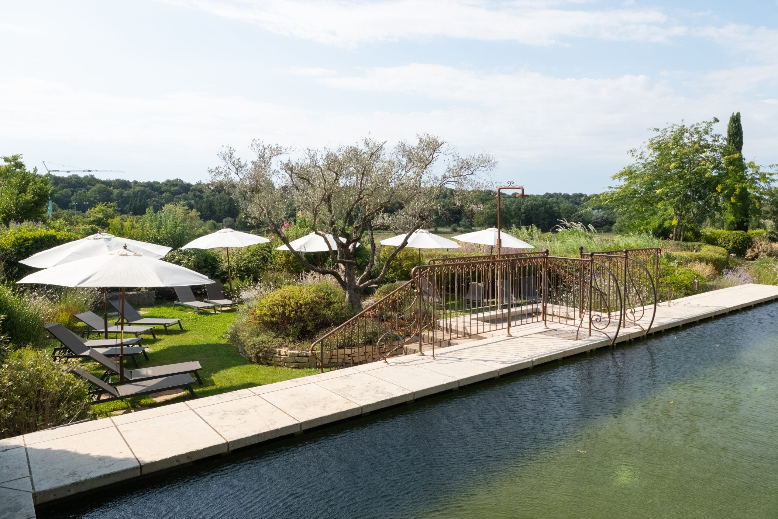 20250715 – CDP Jardin Med ©ABienfait HD (142 sur 253)